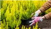 Services vor Ort & online