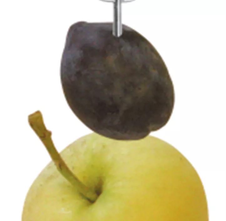 Fruchthalter aus Metall