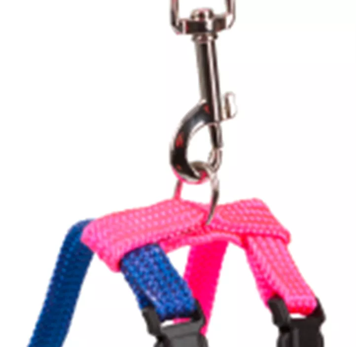 Kaninchengeschirr Länge: 140 cm