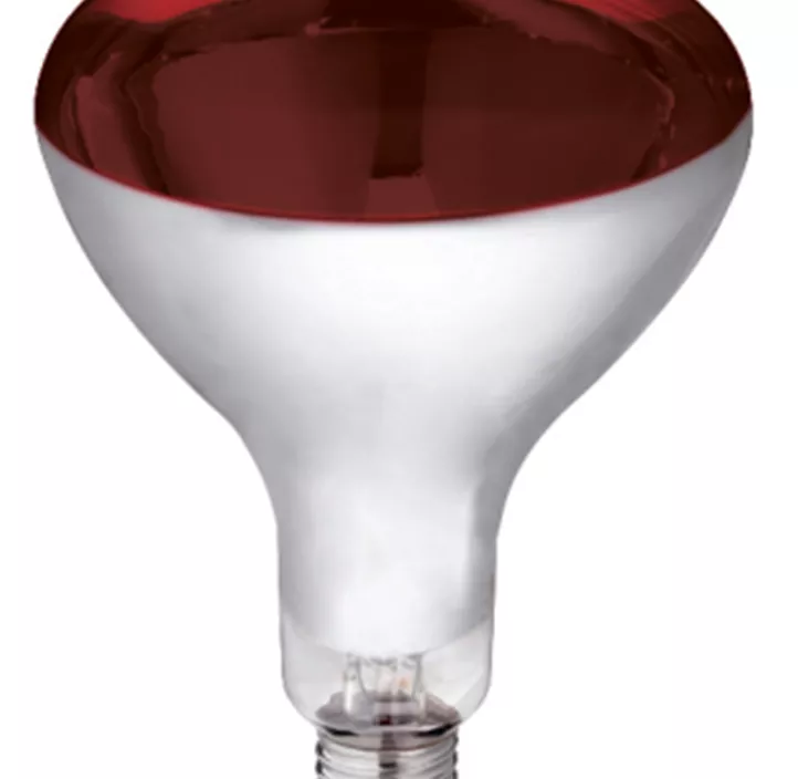 Infrarotlampe 150W Hartglas