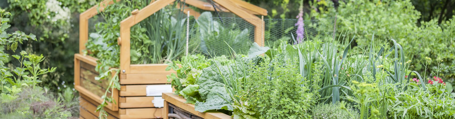 Hochbeet Kräuter Hochbeet Kräuter