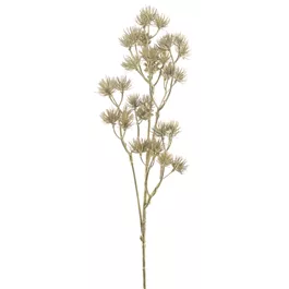 Zierdill-Zweig