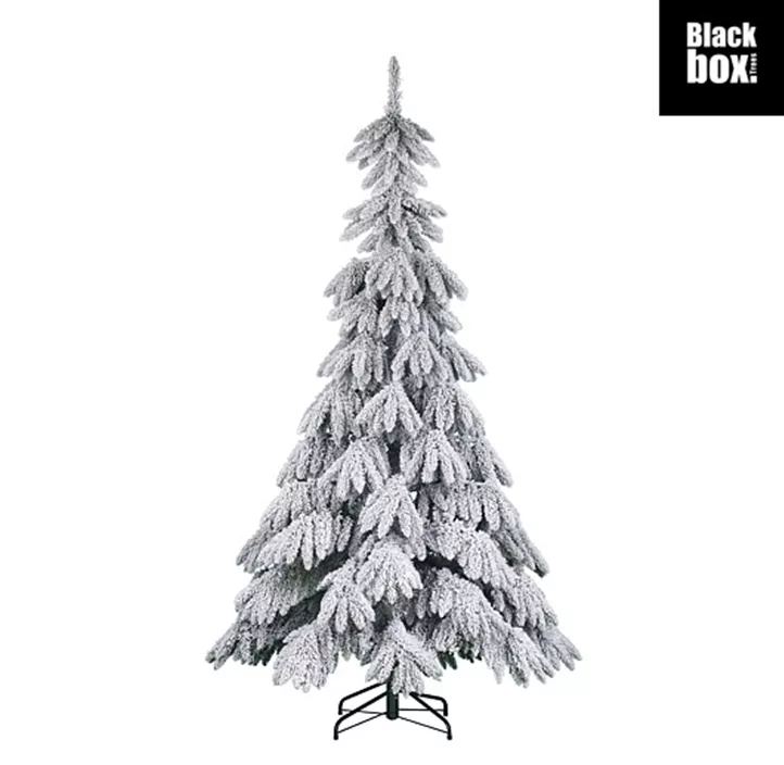 Weihnachtsbaum Breithorn, 1253 Zweige