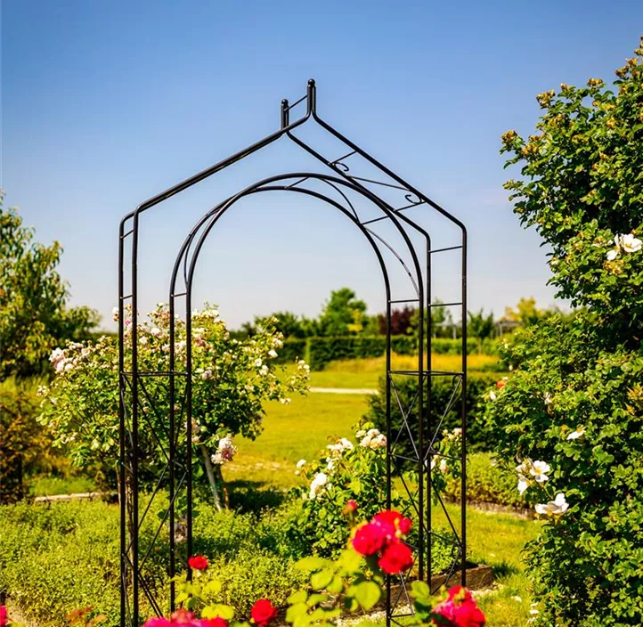 Rosenbogen Elsa doppelt mit Spitz