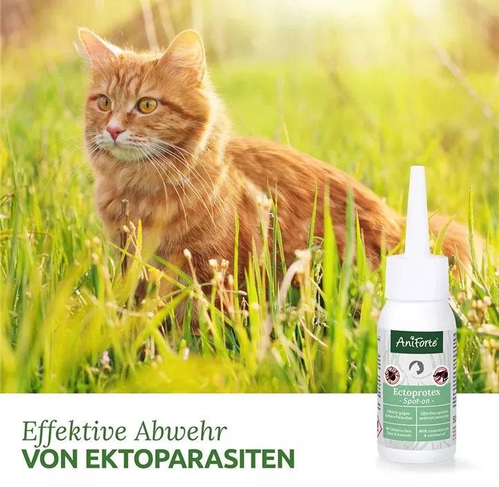 AniForte® Ectoprotex Spot-on Katzen