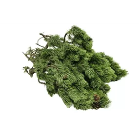 Latschen Reisig Dekobund