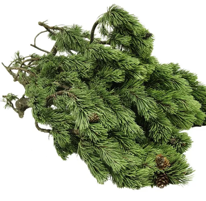 Latschen Reisig Dekobund