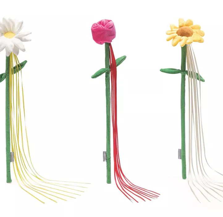 Katzenangel Frühlingsblume