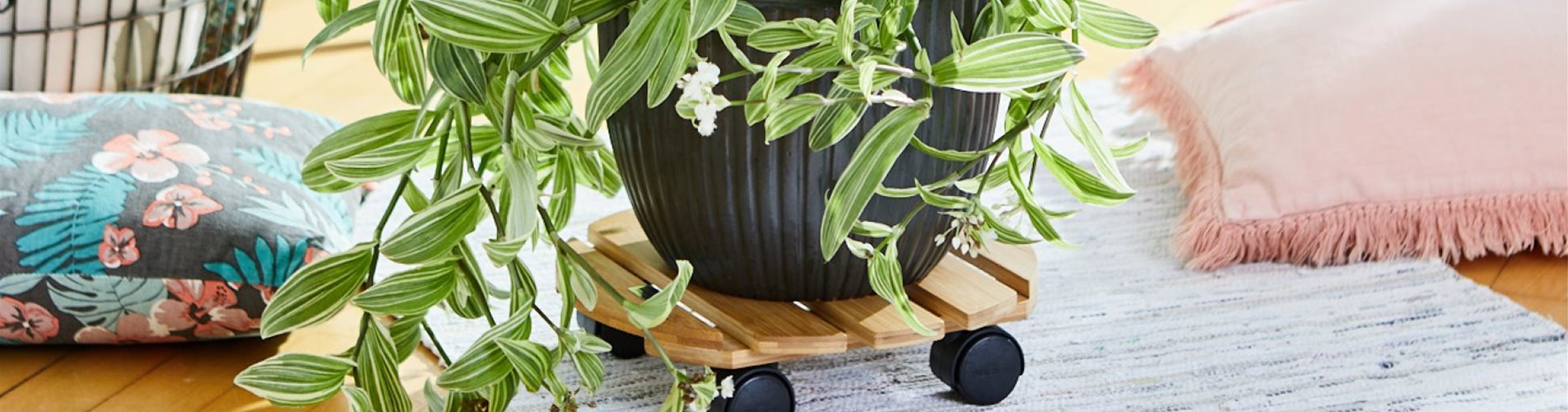 4001073035476_2-0-775-1772-996 4001073035476_2-0-775-1772-996