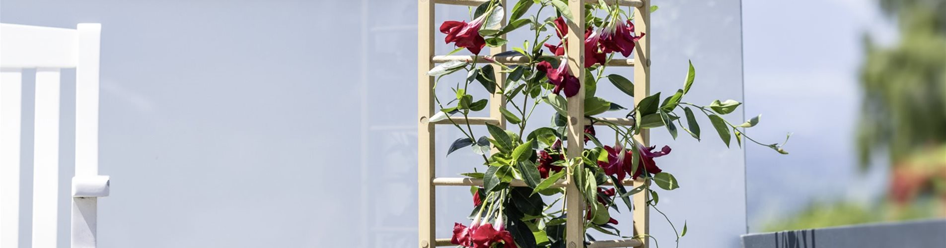 9003117077065-0-510-1859-1045 9003117077065-0-510-1859-1045