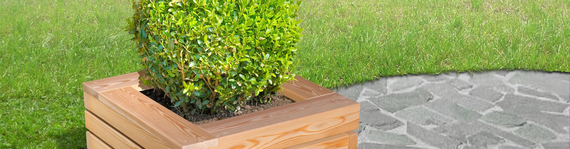 P1010747-0-196-5688-3199 P1010747-0-196-5688-3199