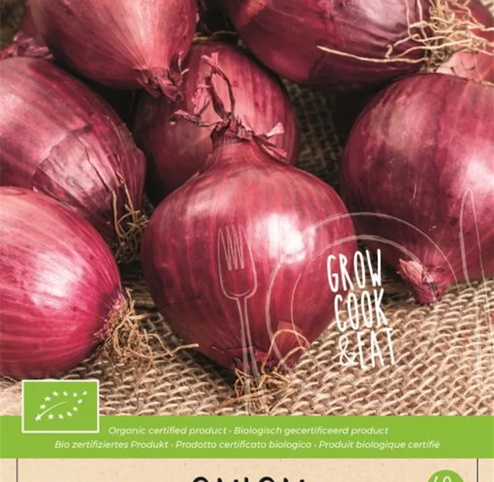 Steckzwiebel 'Red Baron'