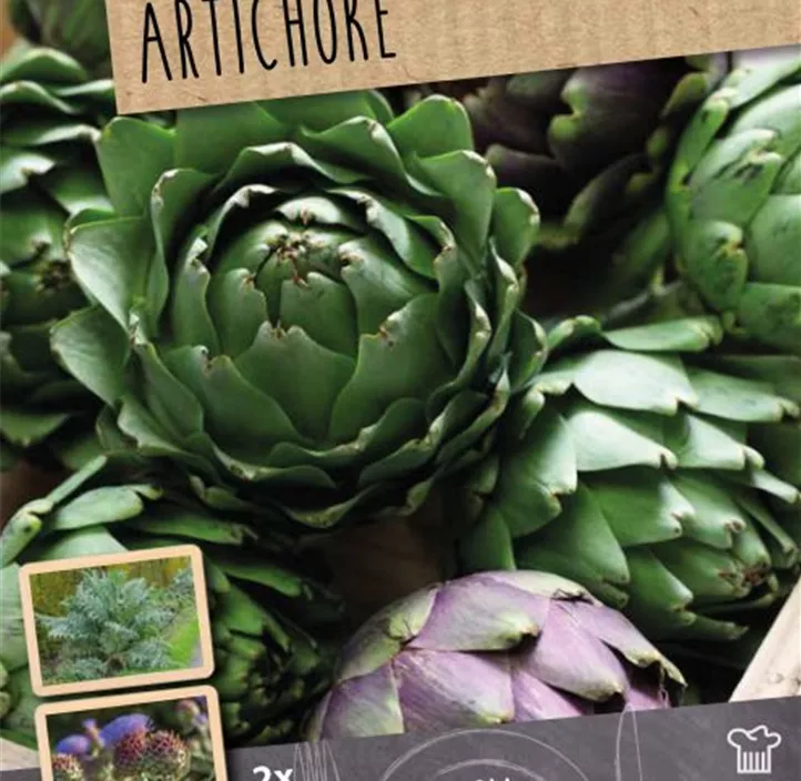Gemüse-Artischocke