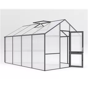 Gewächshaus Dahlie IV