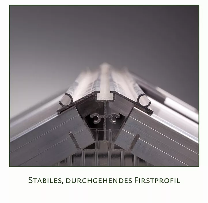 Gewächshaus Enzian IV