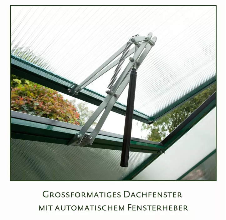 Gewächshaus Enzian IV