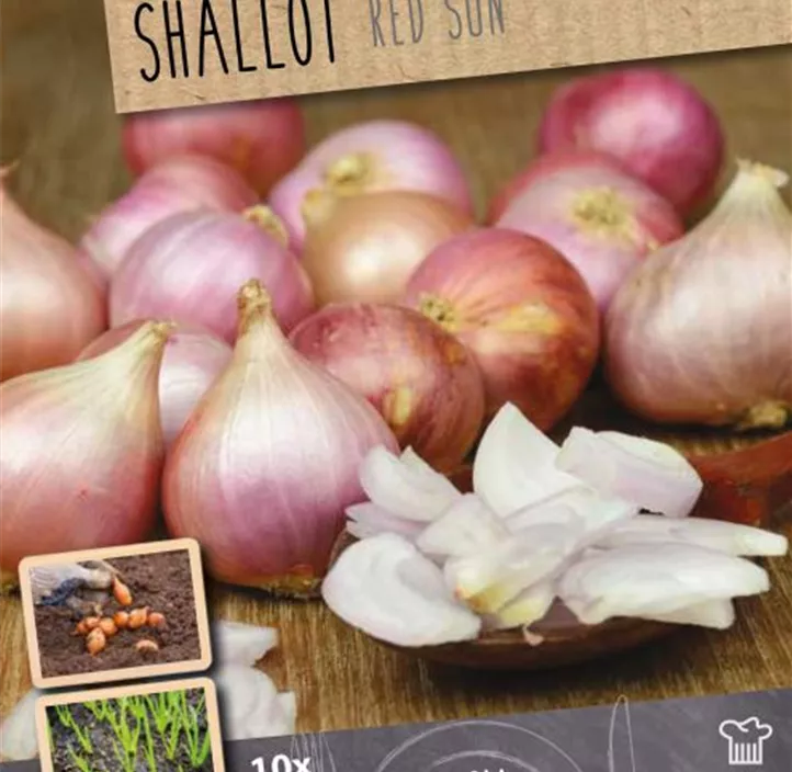 Steckzwiebel-Mix (Eat, Grow, Cook)