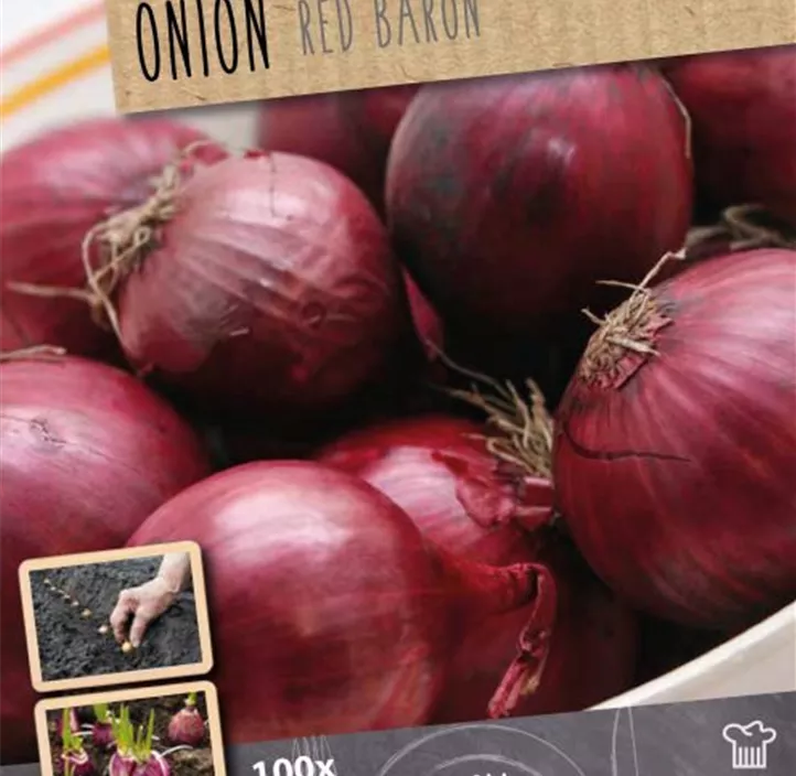 Steckzwiebel 'Red Baron'