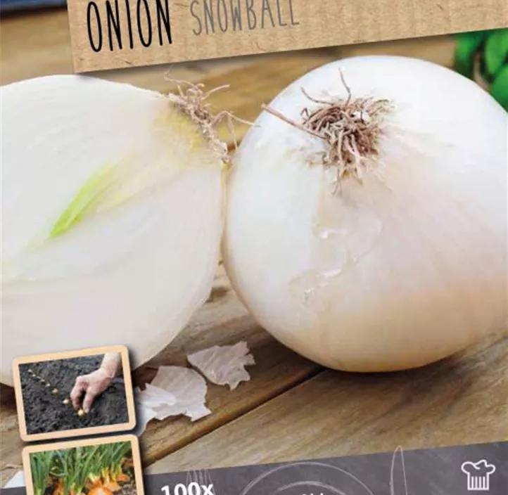 Steckzwiebel Snowball (Eat, Grow, Cook)