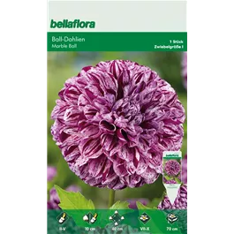 Dahlia Ball Marble Ball