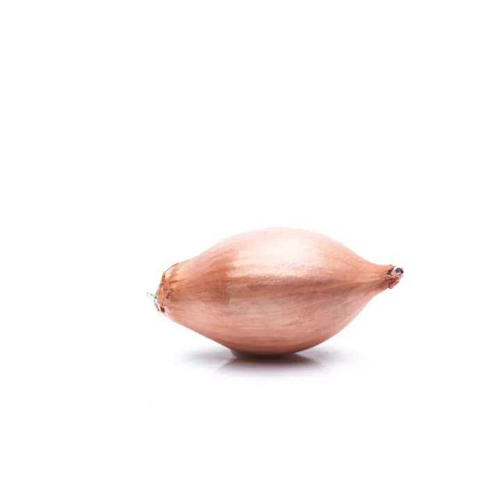 Wintersteckzwiebel rot