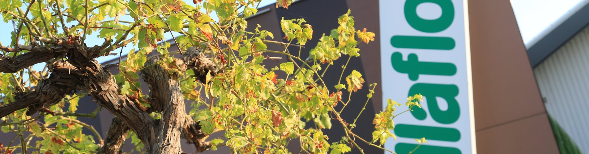 1K0A0686-0-0-5760-3840