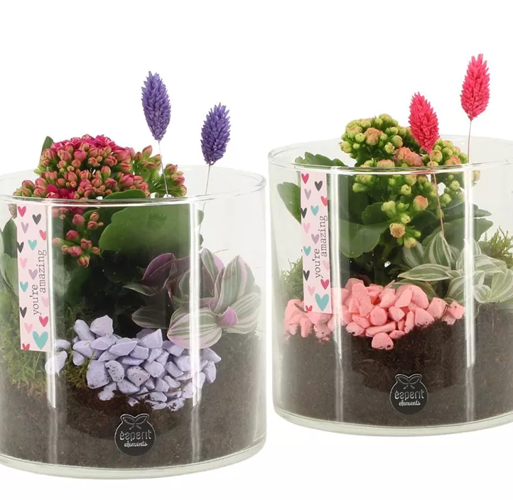 Arrangement im Glas Duo You're amazing