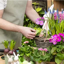 Arrangement setzen lassen