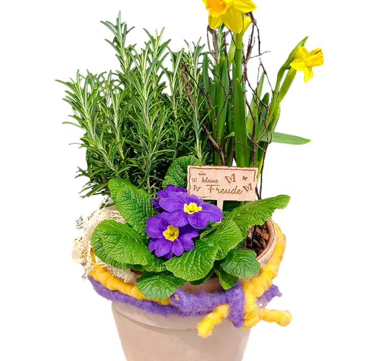 Set Kräuter-Frühling