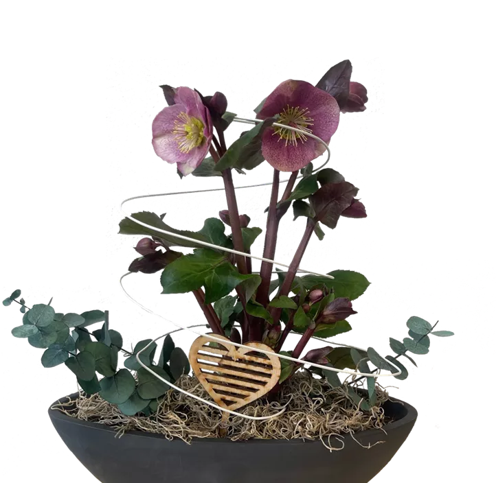 Arrangement Lenzrose 