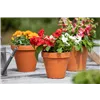 bellaflora Gartencenter GmbH