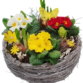 Arrangement Ostern Pflanzring 1