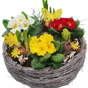 Arrangement Ostern Pflanzring 1