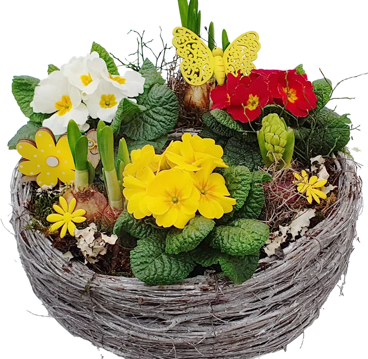 Arrangement Ostern Pflanzring 1