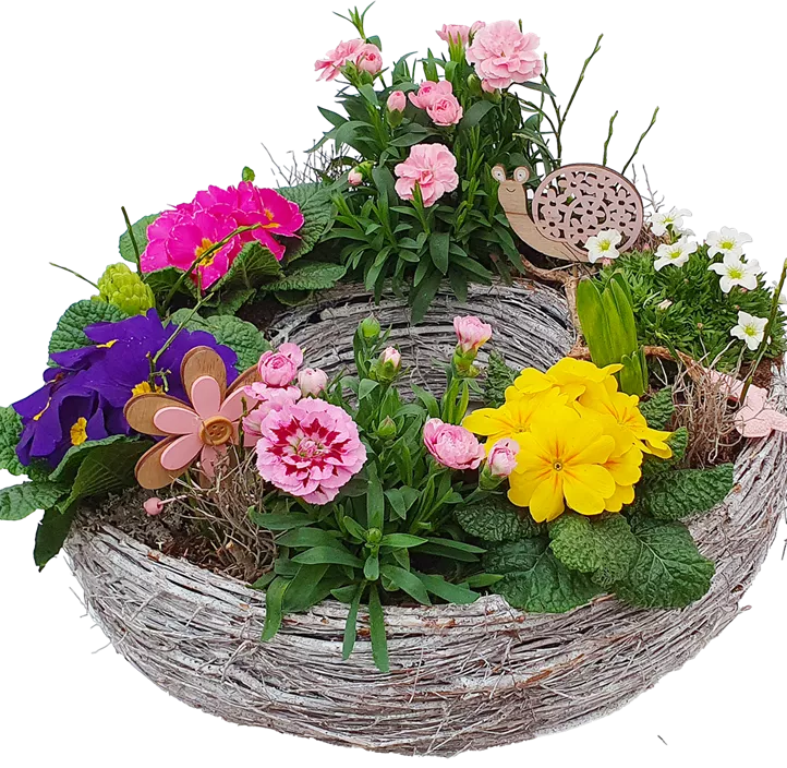 Arrangement Ostern Pflanzring 2