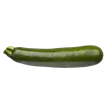 Zucchini
