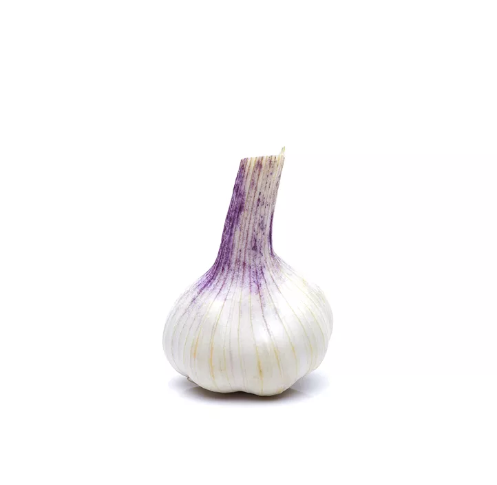 Winterknoblauch