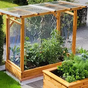 Tomatenparadies inkl. Glasdach+Noppenfolie