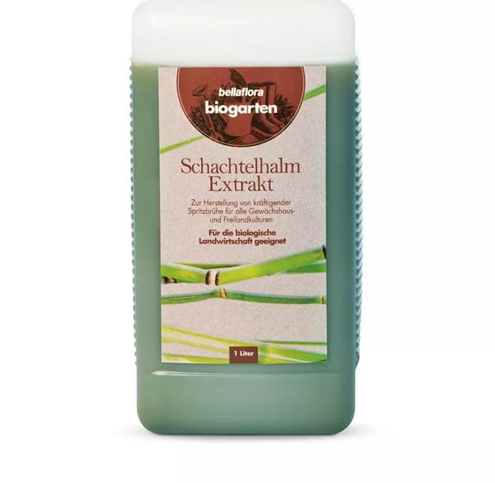 Schachtelhalmextrakt