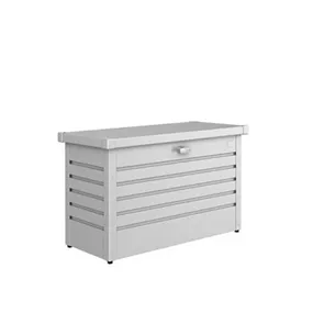 FreizeitBox 100 silber