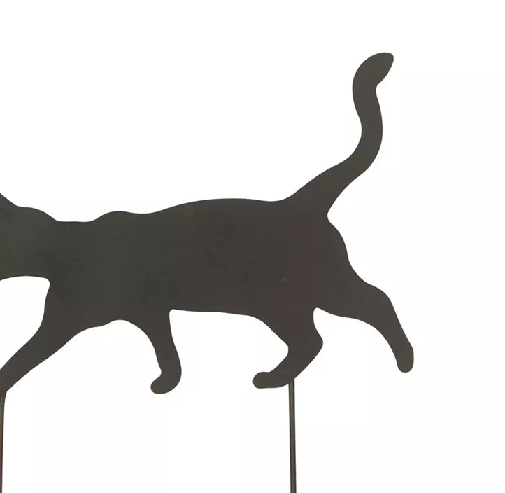 Katze laufend zum Stecken