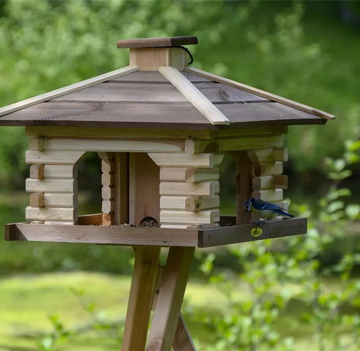 Vogelhaus Blockhausdesign