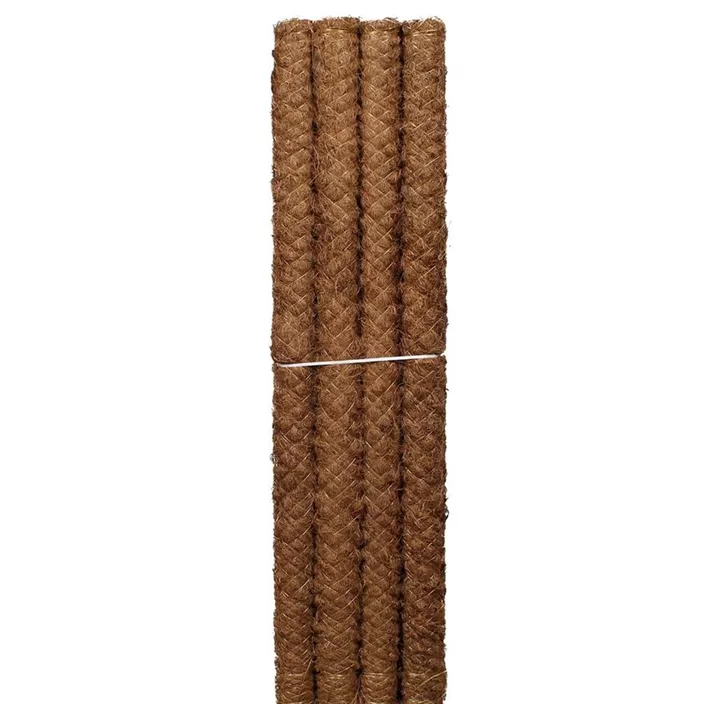 Moosstab Kratiste einzeln