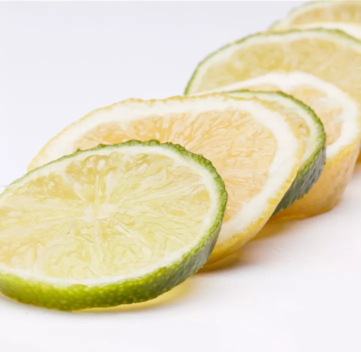 Süße Limette 'Romana'