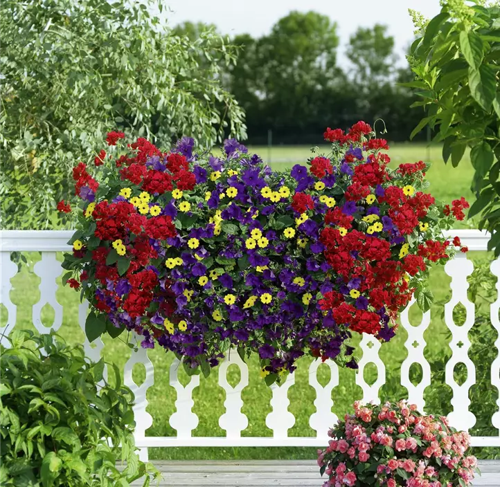 1 Laufmeter Bunter Balkon