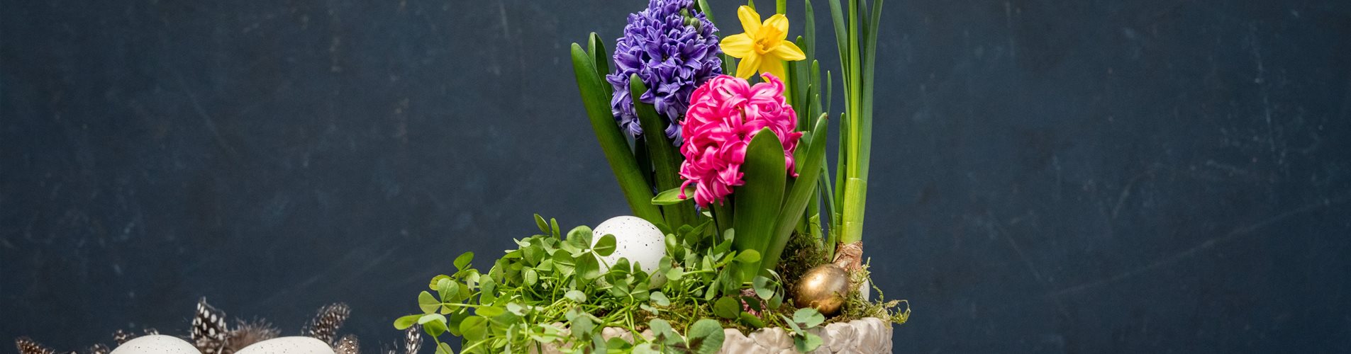 Ostern - Topfbepflanzung mit Frühblühern