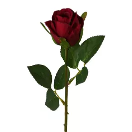 Rose, 45 cm