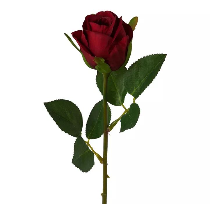 Rose, 45 cm