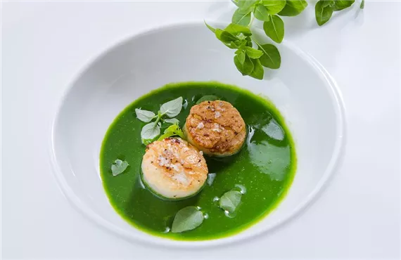 Piccolino Basilikum_mmg-design-235.jpg