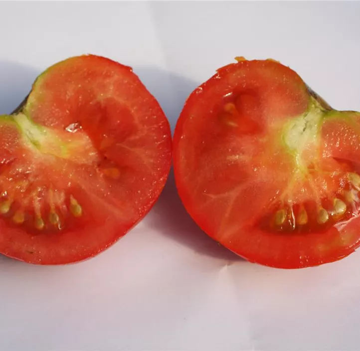 Salattomate 'Magic Fire'